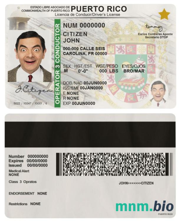 Szablon prawa jazdy Puerto Rico w formacie PSD, ze wszystkimi czcionkami